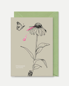 Collection image for: Kaarten