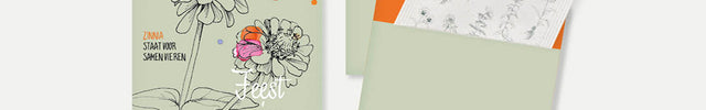 Feest zaaien (zinnia)