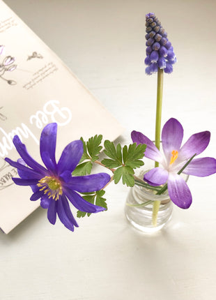 Bloembollenpakket Bee Happy met schepje