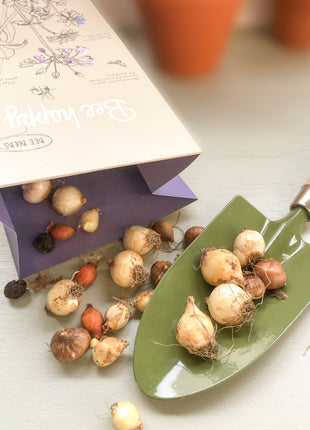 Bloembollenpakket Bee Happy met schepje