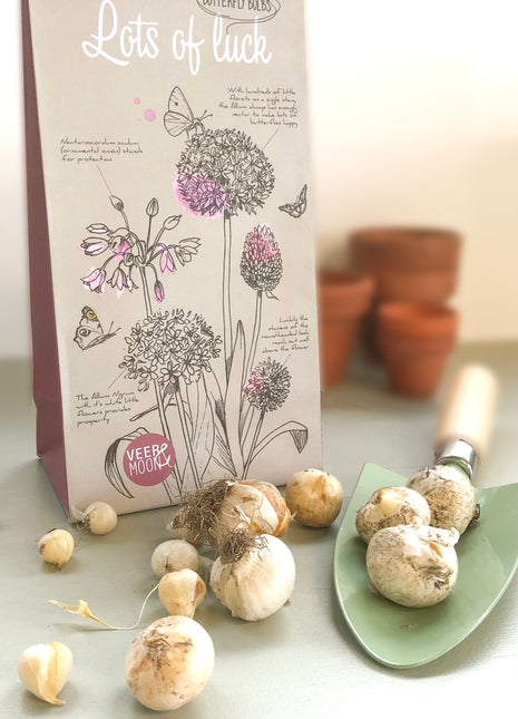 Bloembollenpakket Lots of Luck met schepje