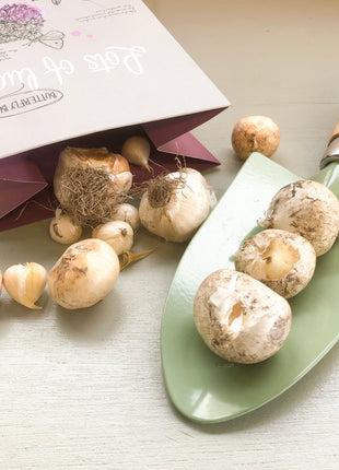 Bloembollenpakket Lots of Luck met schepje