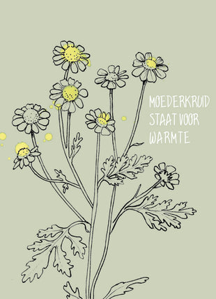 Cadeaudoosje 'De liefste moeder'