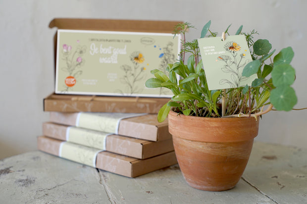 Banner image for: Je bent goud waard