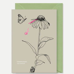 Collection image for: Kaarten